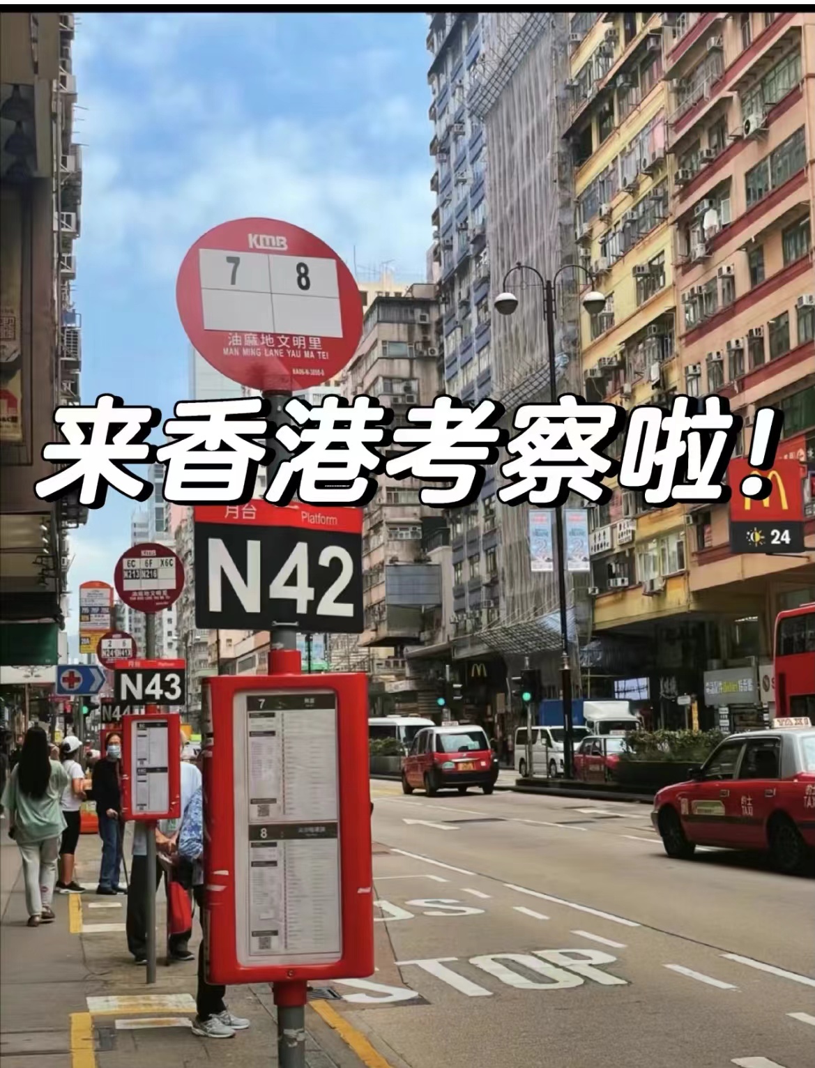 香港冻卵攻略